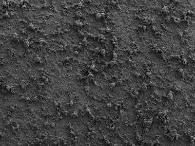 友恒實業水性PVDF電池隔膜