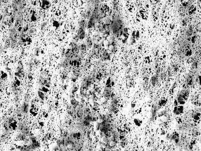 友恒實業油性涂覆電池隔膜