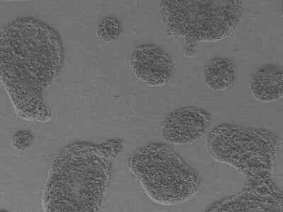 友恒實業噴涂電池隔膜