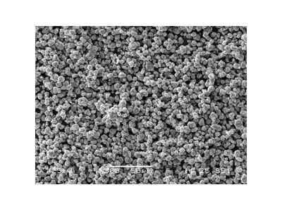 瑞盛新能源 電池導(dǎo)電劑