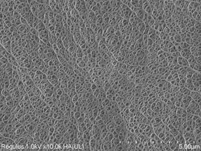 厚生新能源鋰電池涂覆基膜